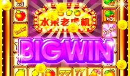 MG电子水上泰神奇app网站娱乐主题解析与理性体验指南